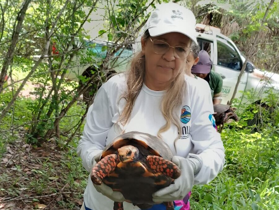Foto: Reprodução/Secom Piauí