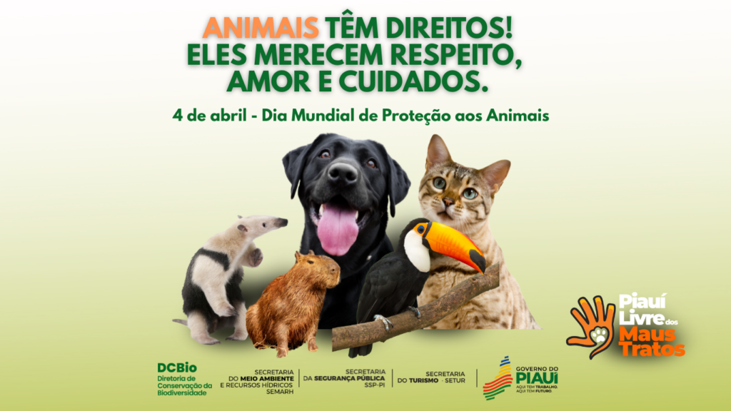 Governo do Estado realiza ações para combater maus-tratos contra os ...