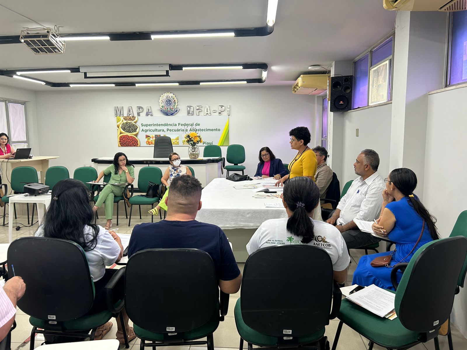 Foto: Reprodução/Secom Piauí