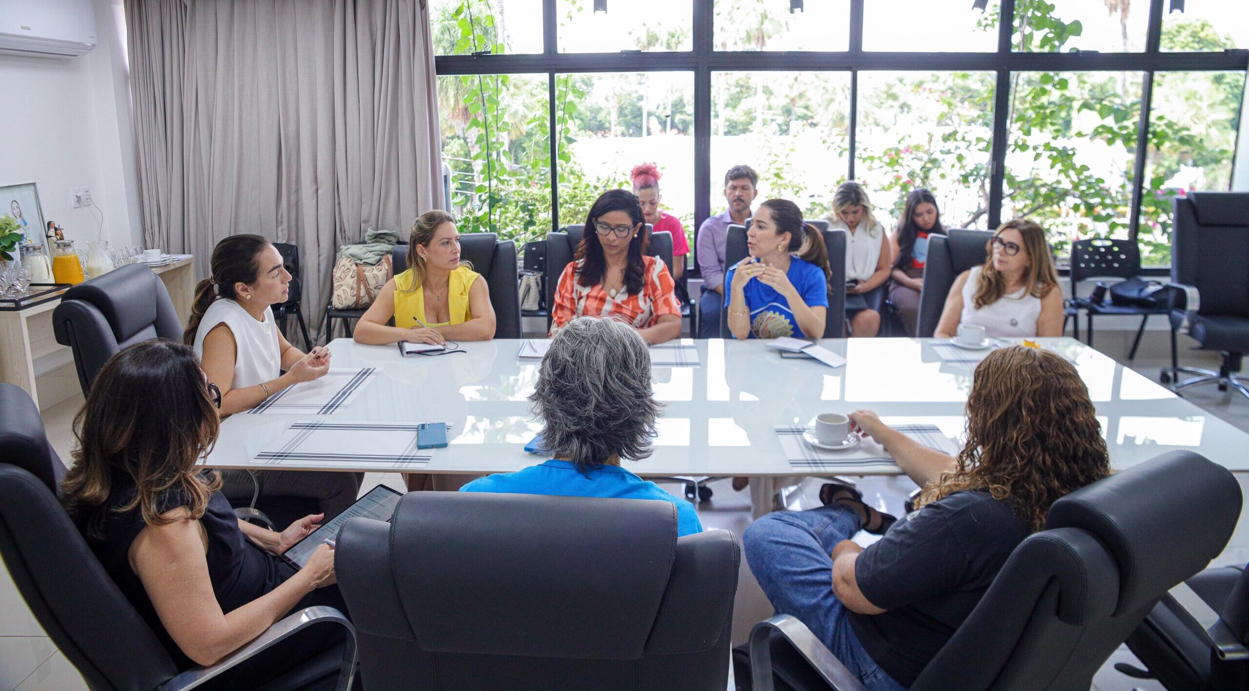 Foto: Reprodução/Secom Piauí