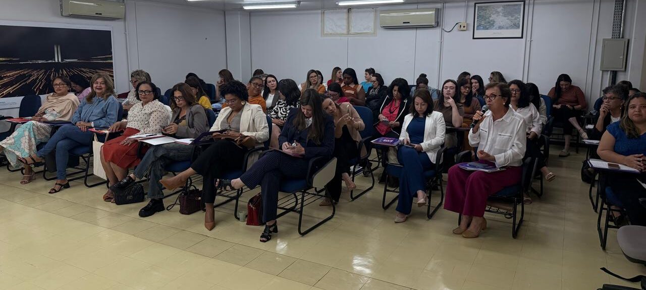 Foto: Reprodução/Secom Piauí