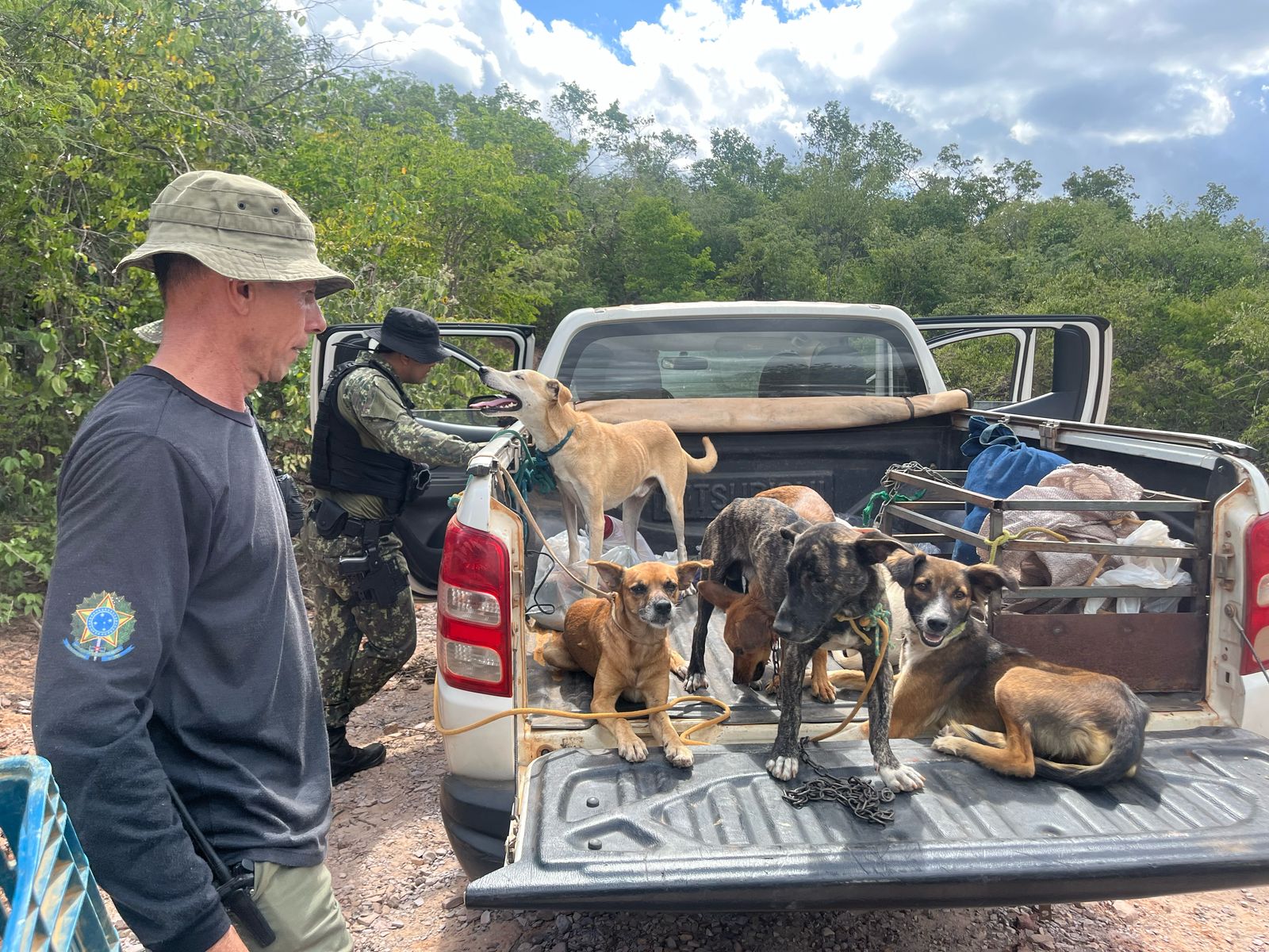 Apreensão de animais silvestres
