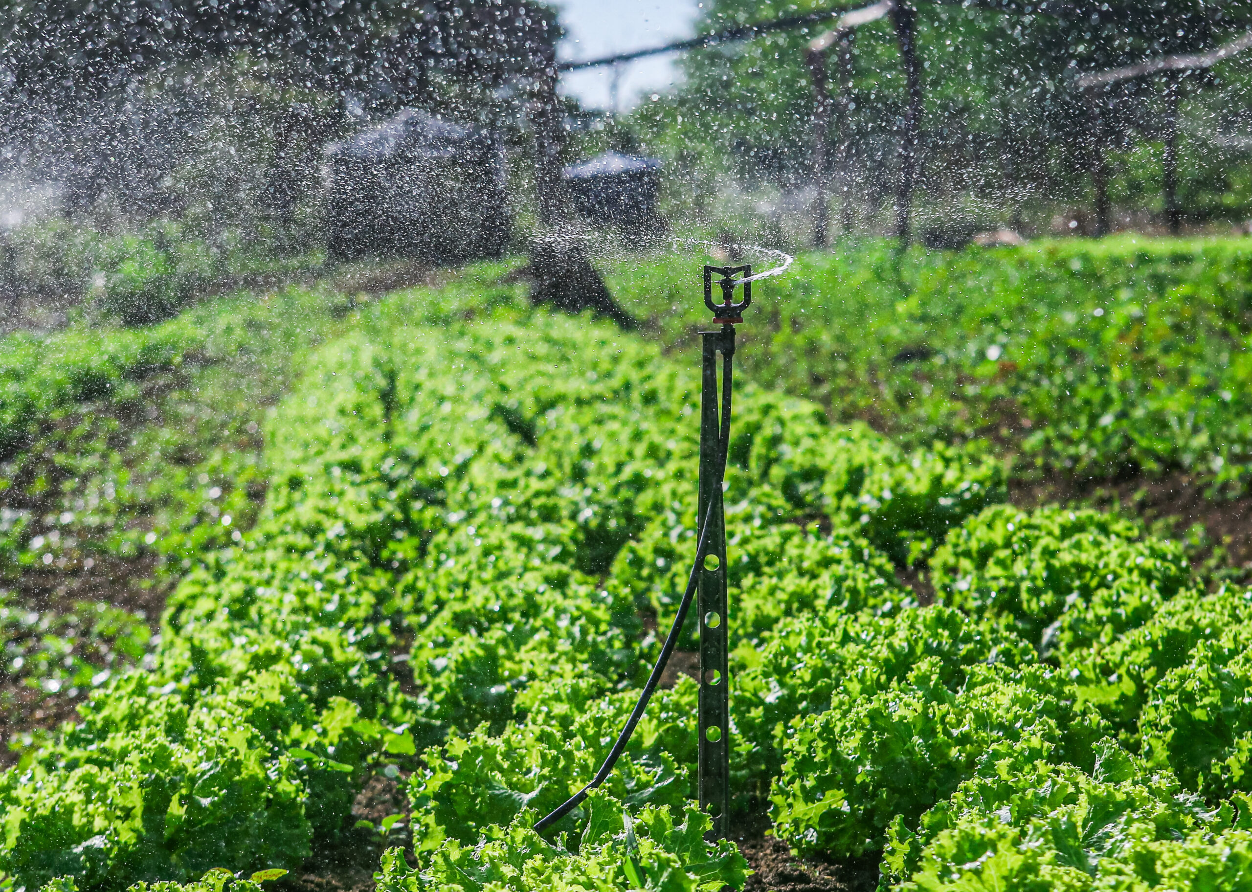 A entrega faz parte do Programa de Valorização da Agricultura Familiar. Os equipamentos auxiliarão agricultores familiares na produção de alimentos e reduzem a dependência de chuvas regulares e os impactos dos efeitos climáticos.