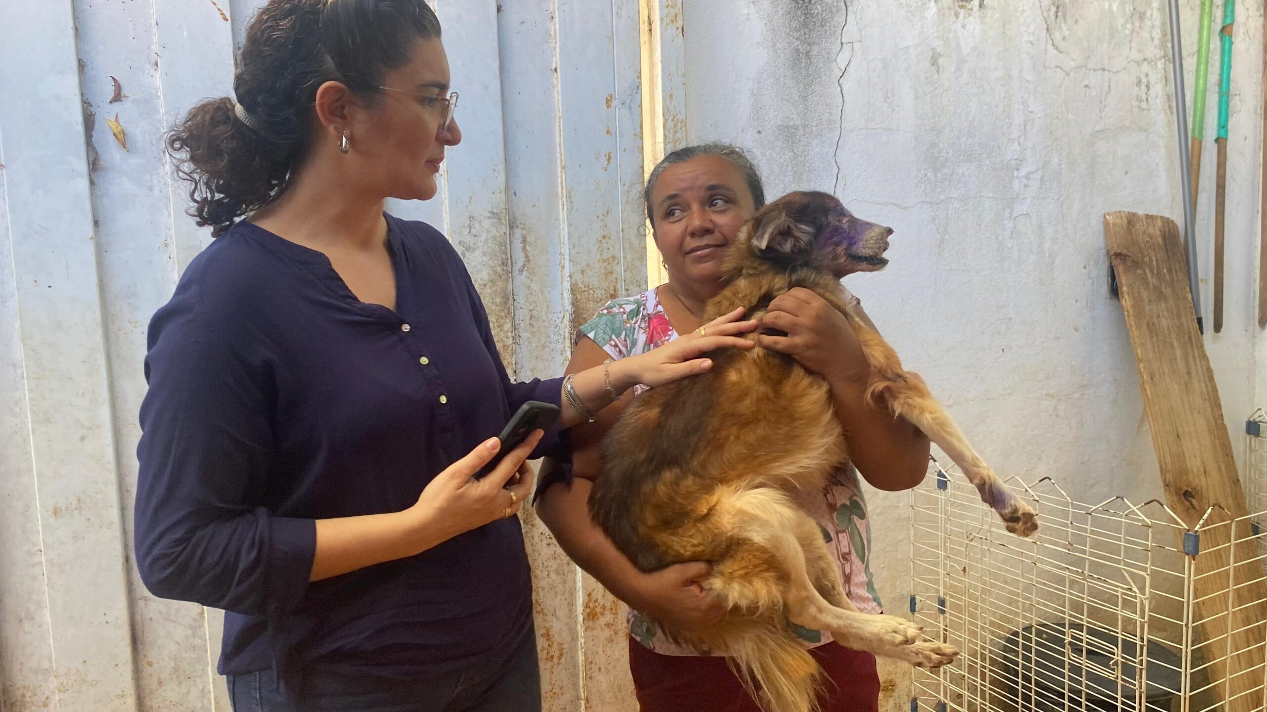 Foto: Reprodução/Secom Piauí