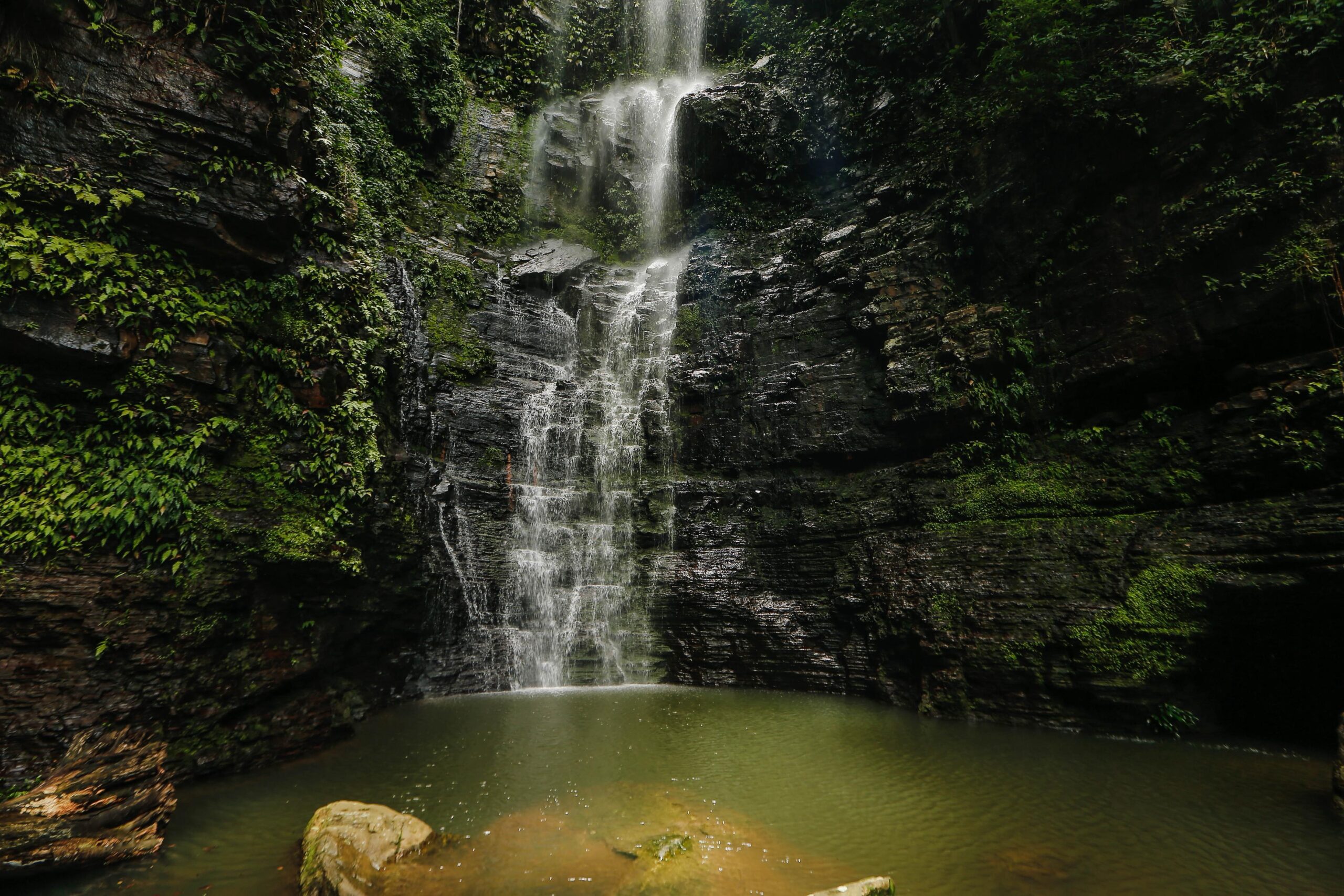Foto: Reprodução/Secom Piauí