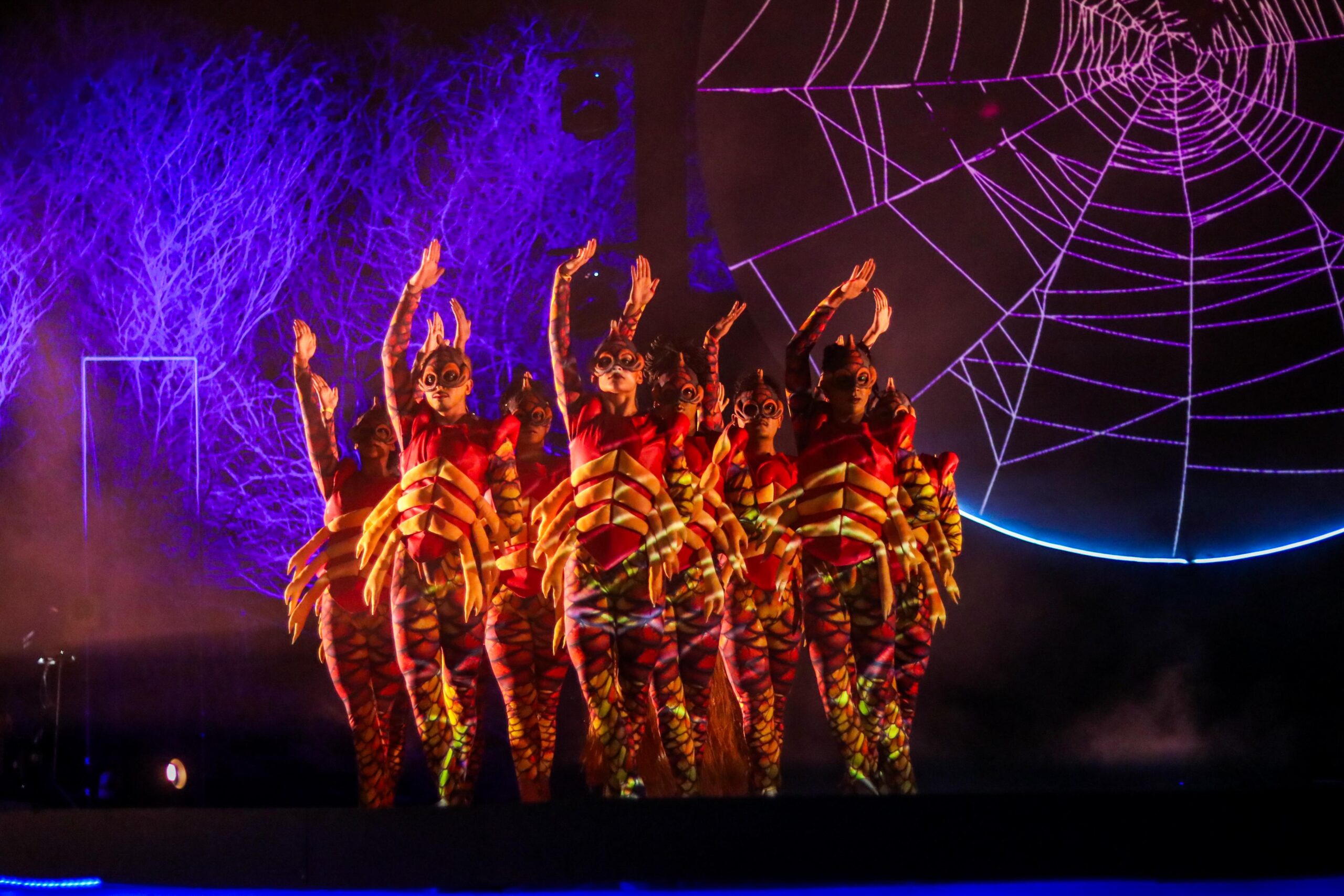 (Foto: Mariana Medeiros)