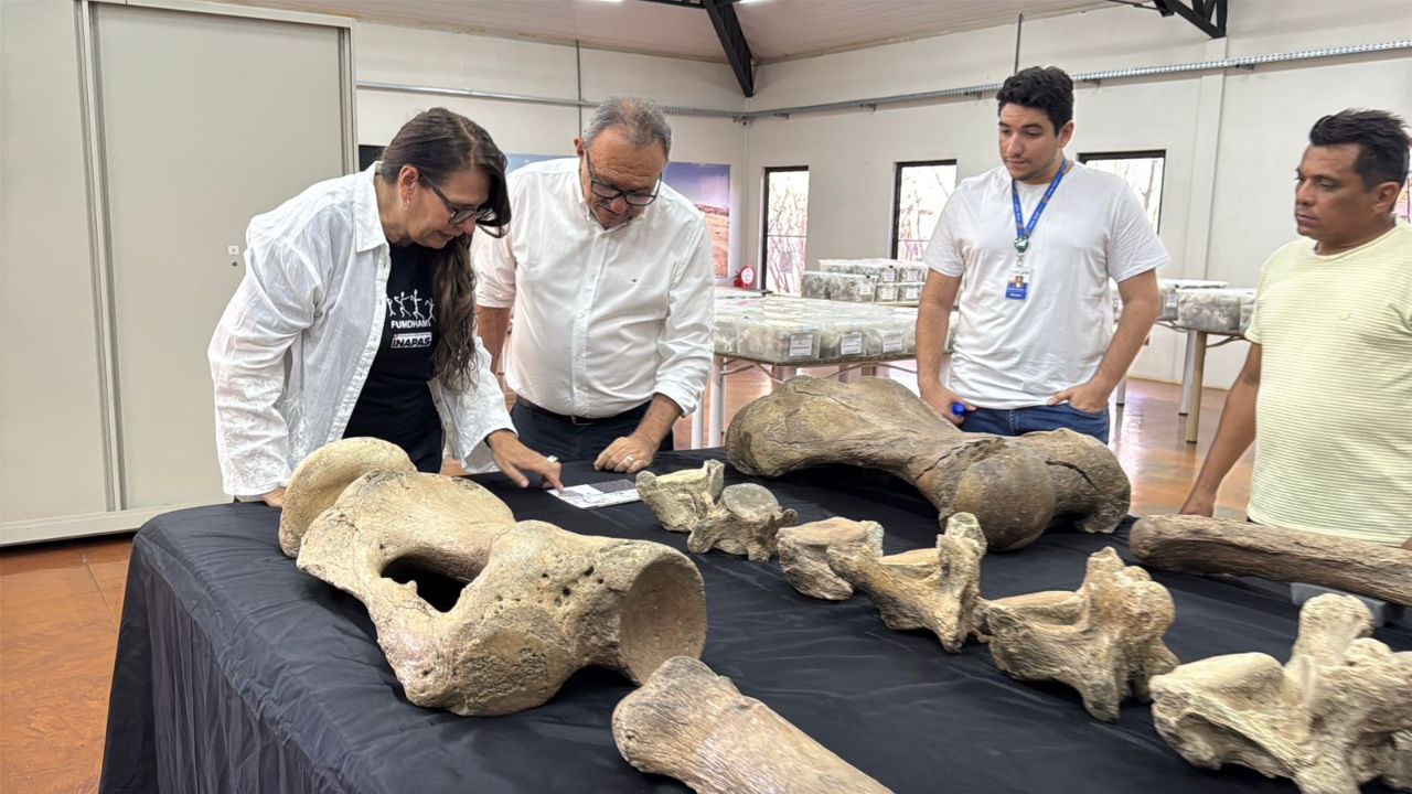 Foto: Reprodução/Secom Piauí