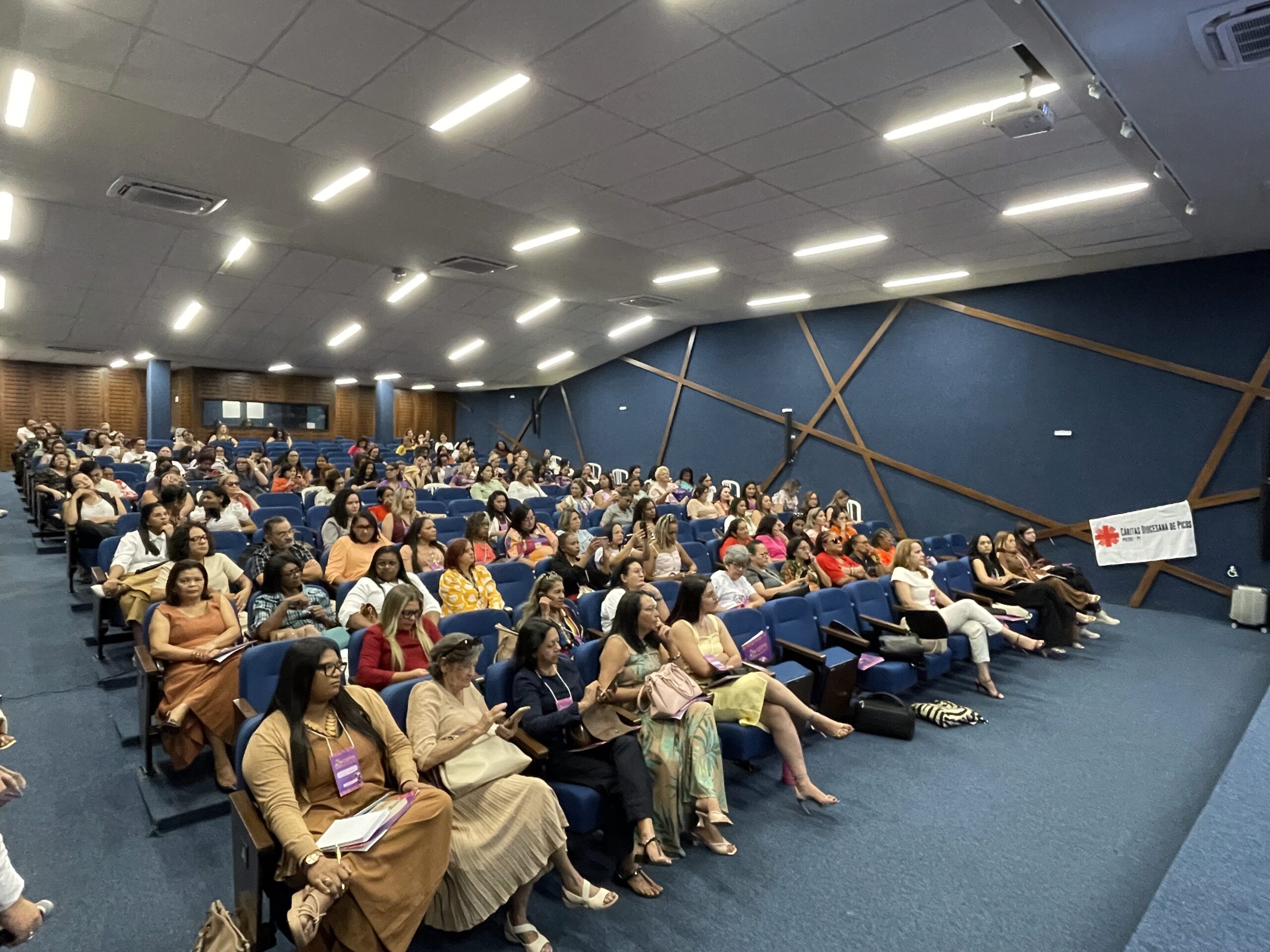 Foto: Reprodução/Secom Piauí