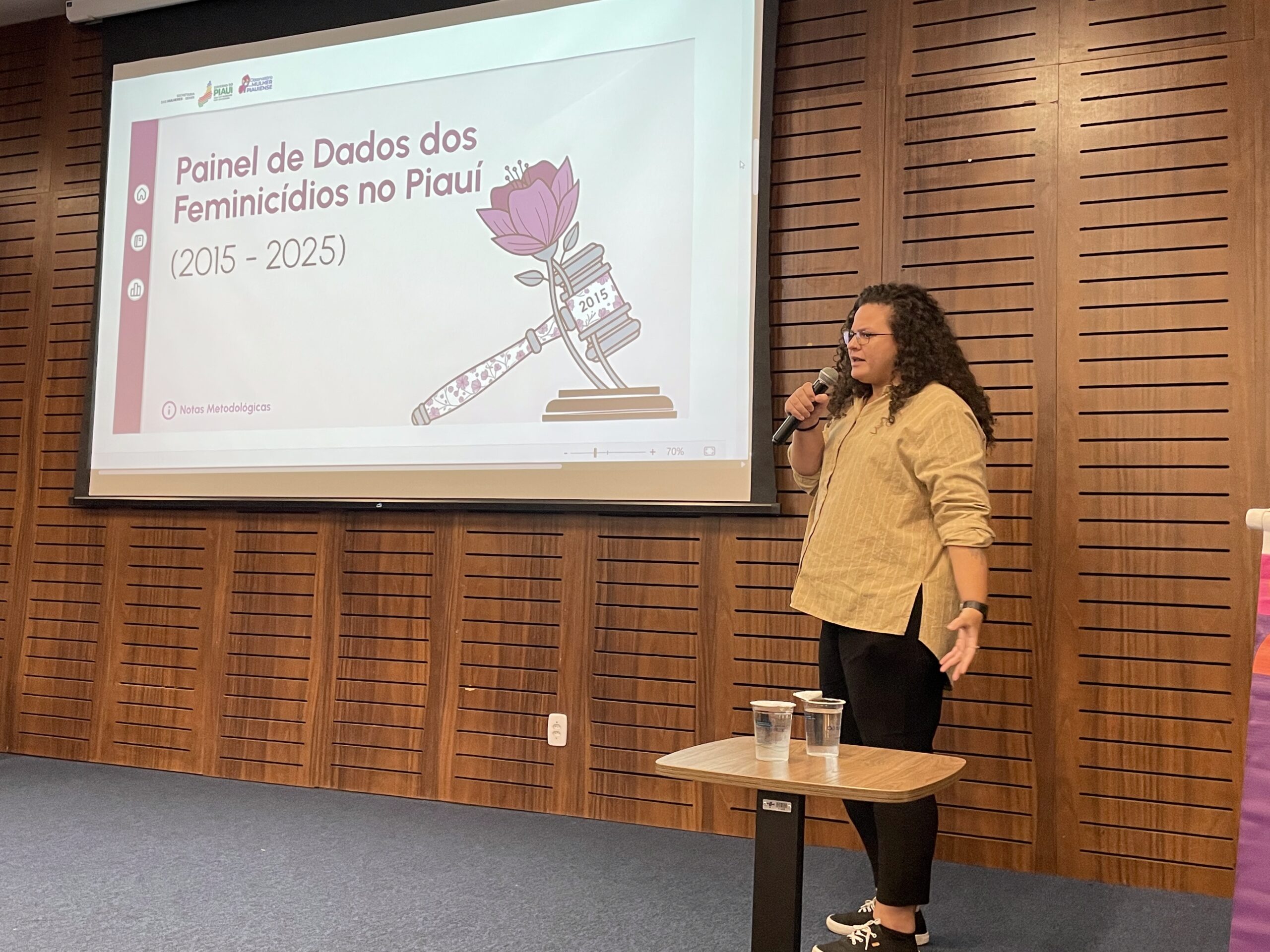 Foto: Reprodução/Secom Piauí