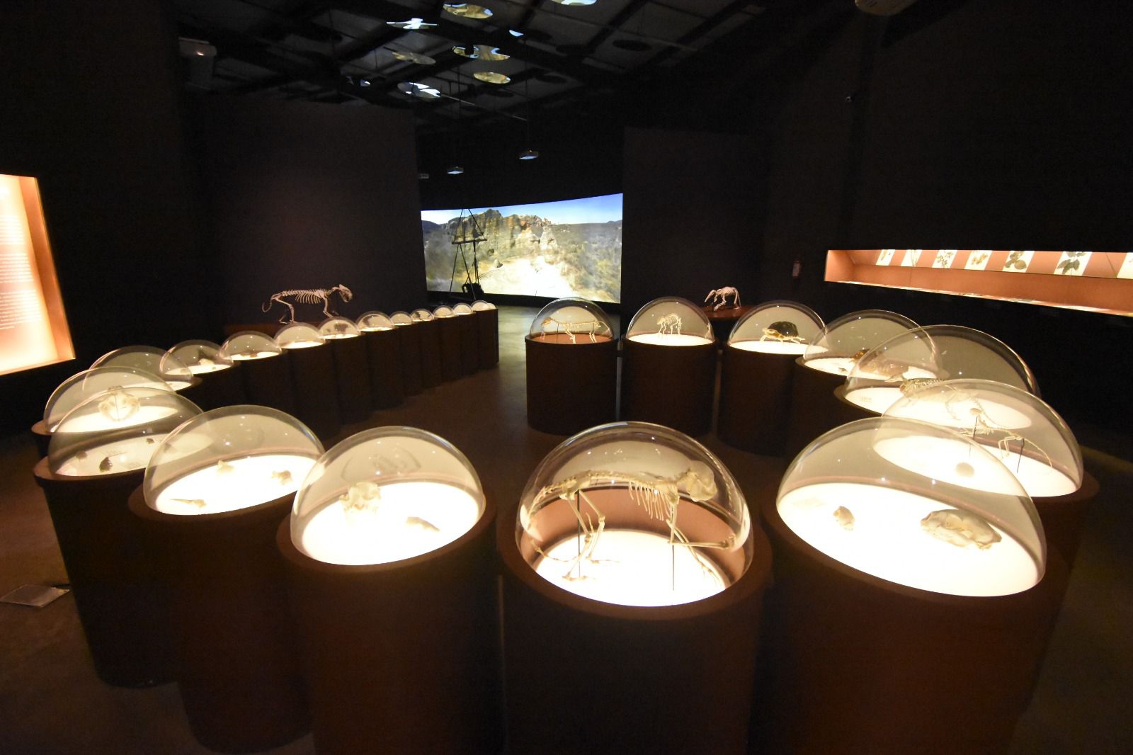 Foto: Francisco Gilásio