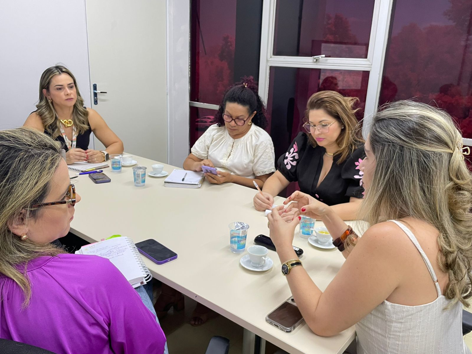 Foto: Reprodução/Secom Piauí