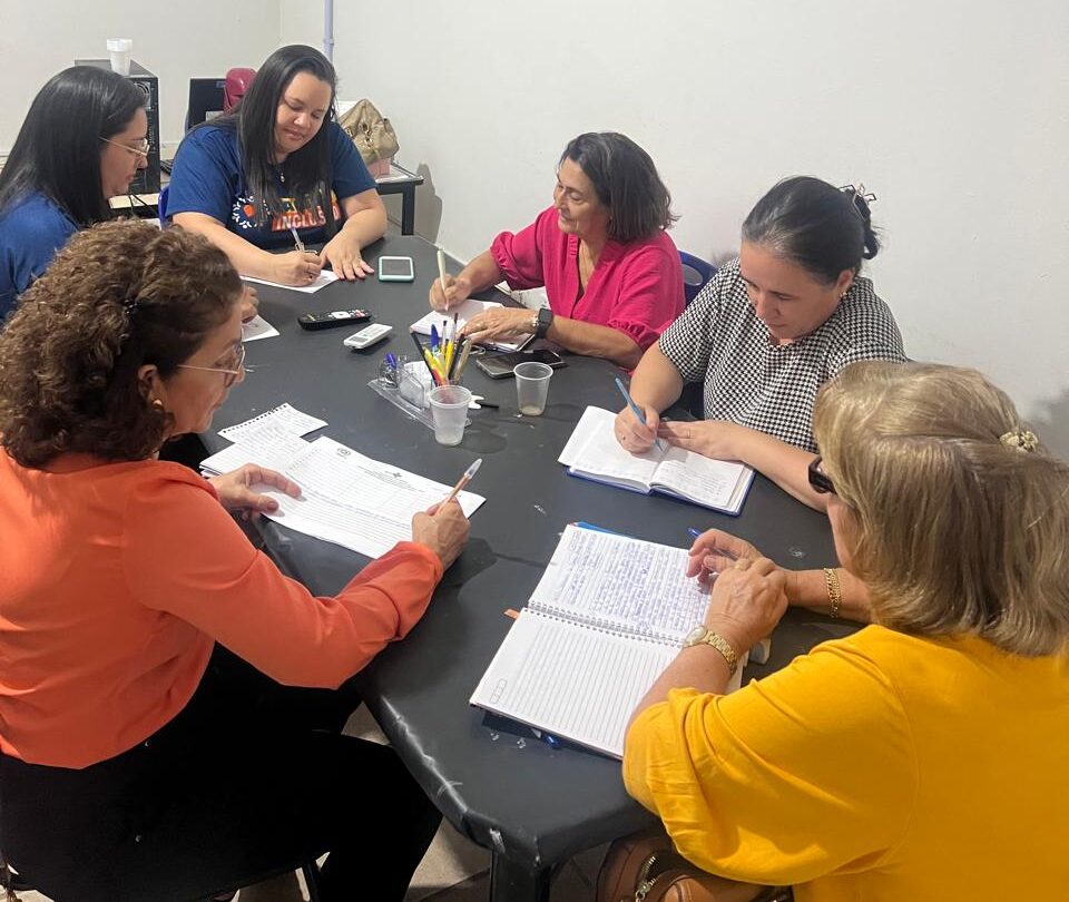 Foto: Reprodução/Secom Piauí