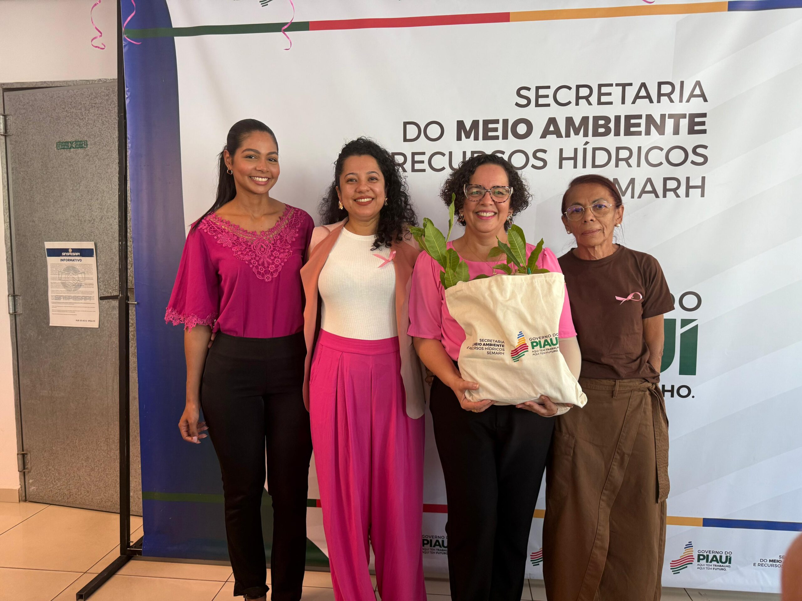 Foto: Reprodução/Secom Piauí