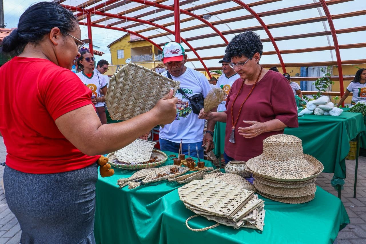 Foto: Reprodução/Secom Piauí