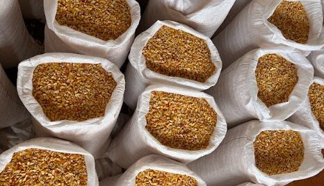 Foto: Reprodução/Secom Piauí