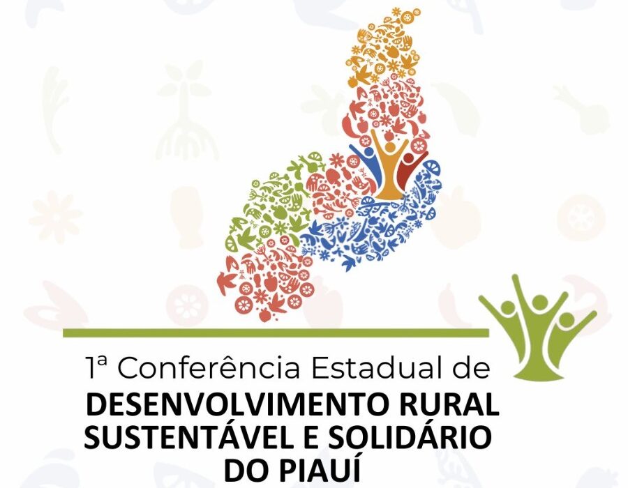 Foto: Reprodução/Secom Piauí