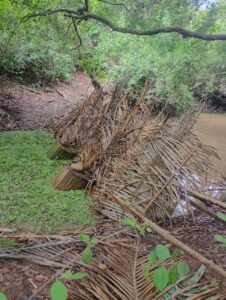 Foto: Reprodução/Secom Piauí