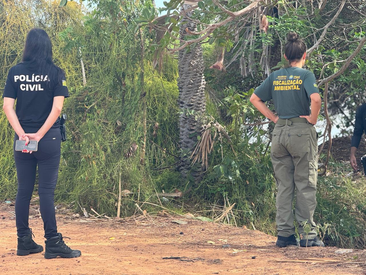 Foto: Reprodução/Secom Piauí