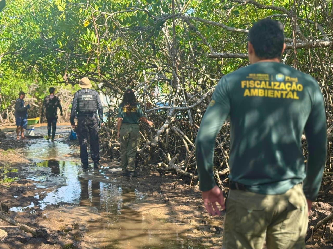 Foto: Reprodução/Secom Piauí