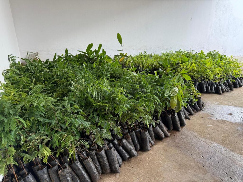 Foto: Reprodução/Secom Piauí