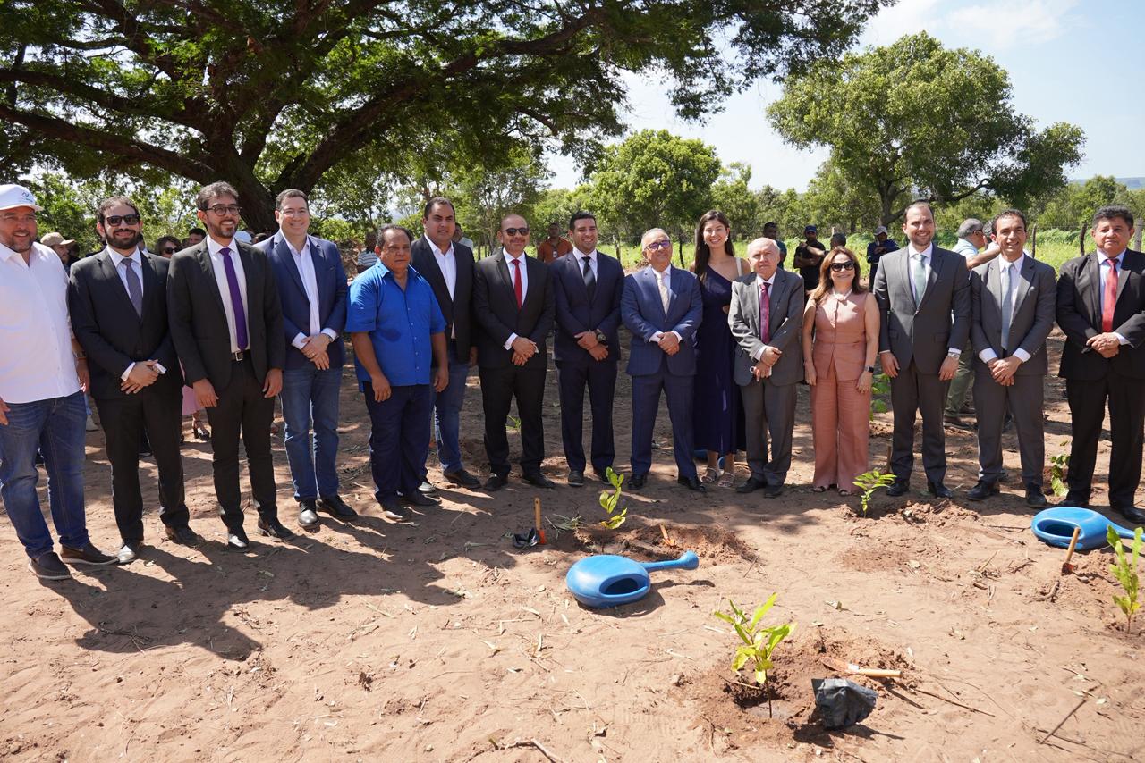 Bosque do Tribunal de Justiça do Piauí