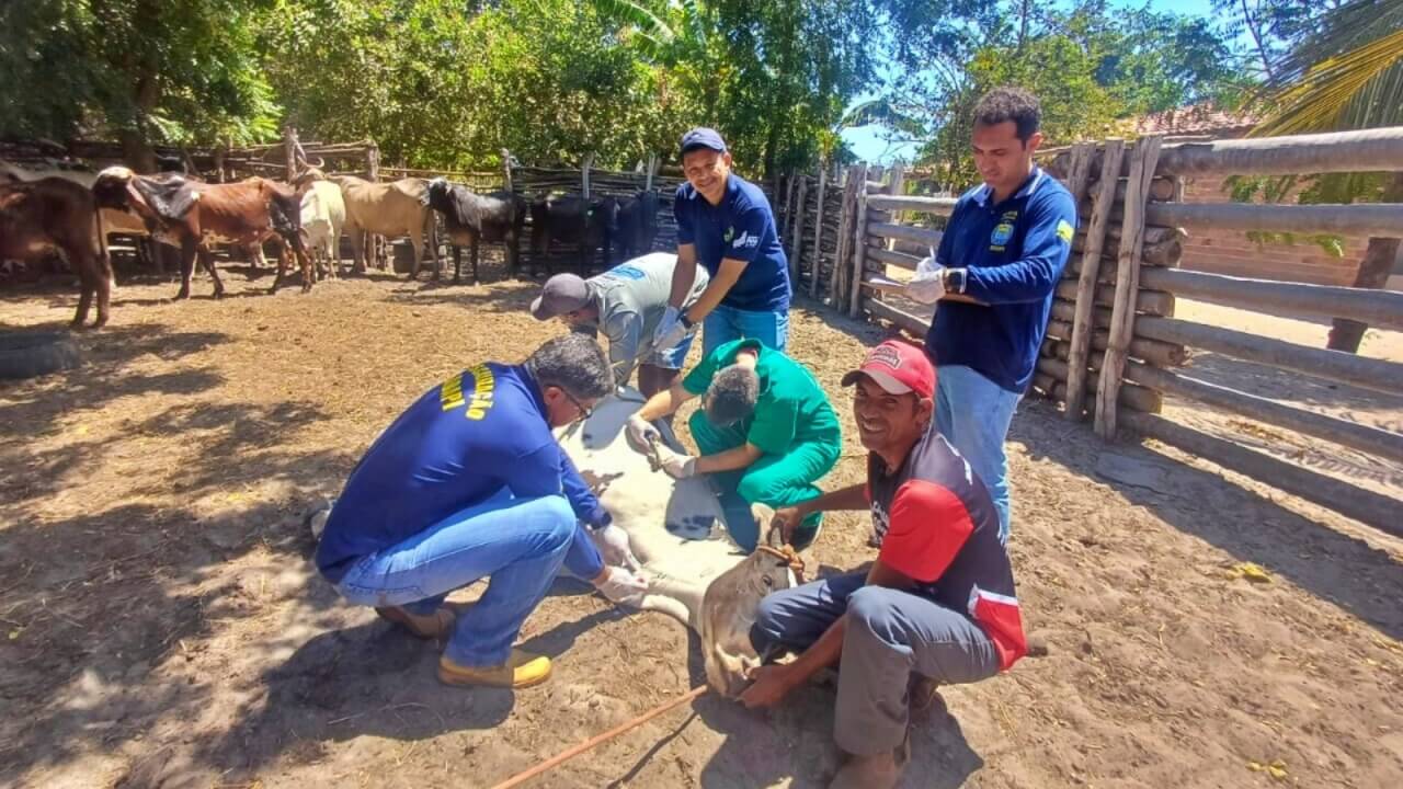 Foto: Reprodução/Secom Piauí