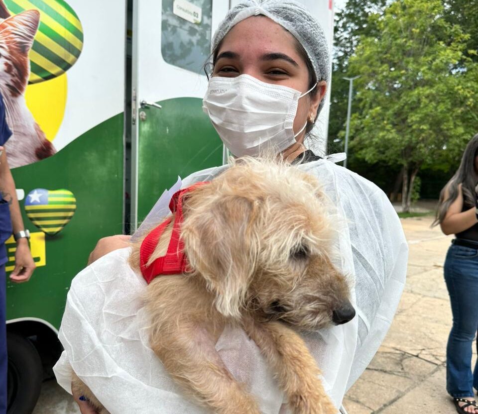Governo do Piauí autoriza parceria para abrigar animais vítimas de maus-tratos apreendidos pela polícia