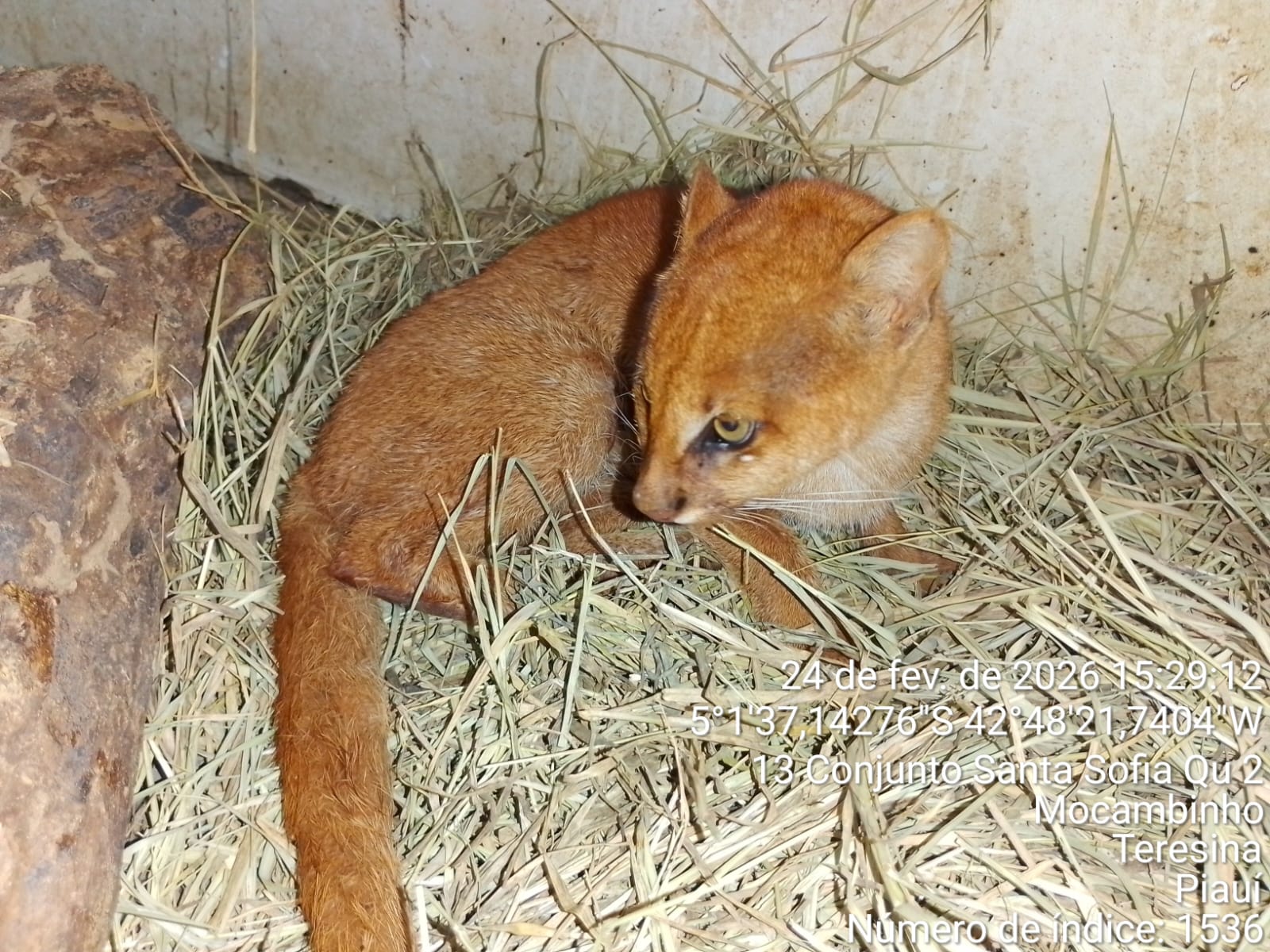 Foto: Reprodução/Secom Piauí
