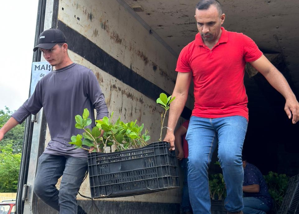 Foto: Reprodução/Secom Piauí