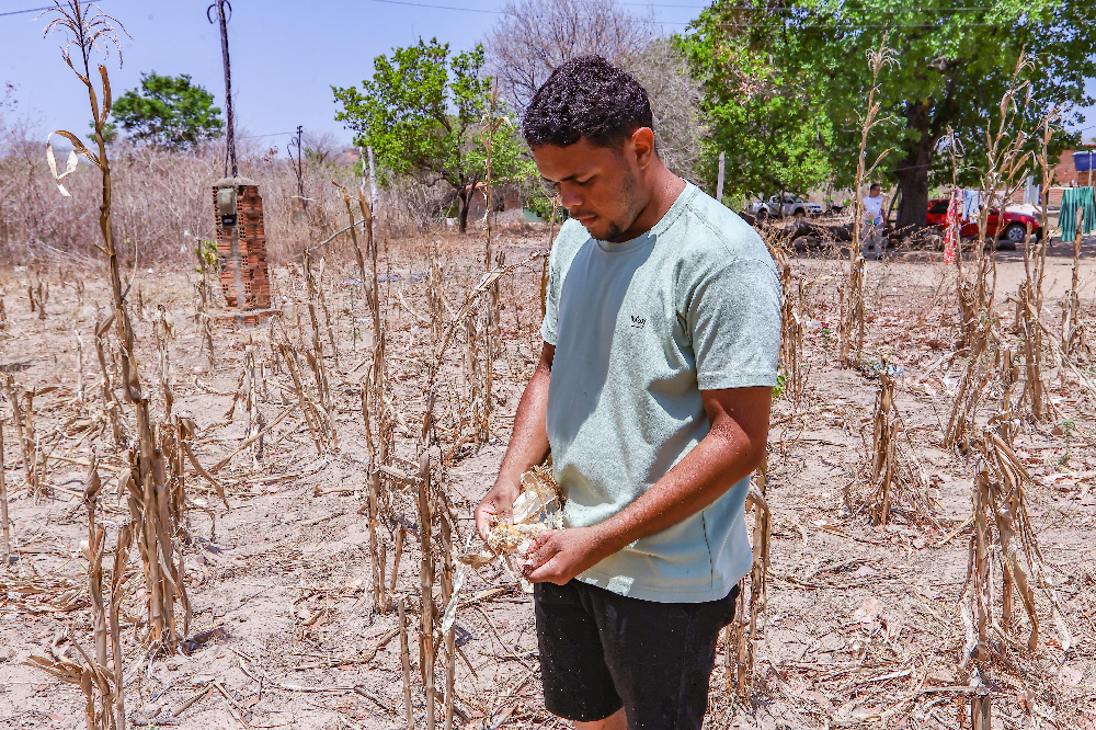 Foto: Reprodução/Secom Piauí