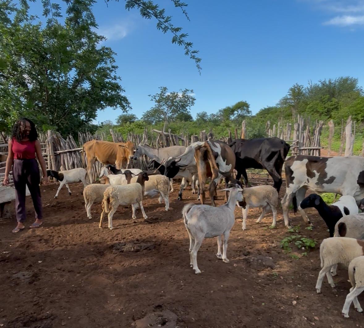 Foto: Reprodução/Secom Piauí
