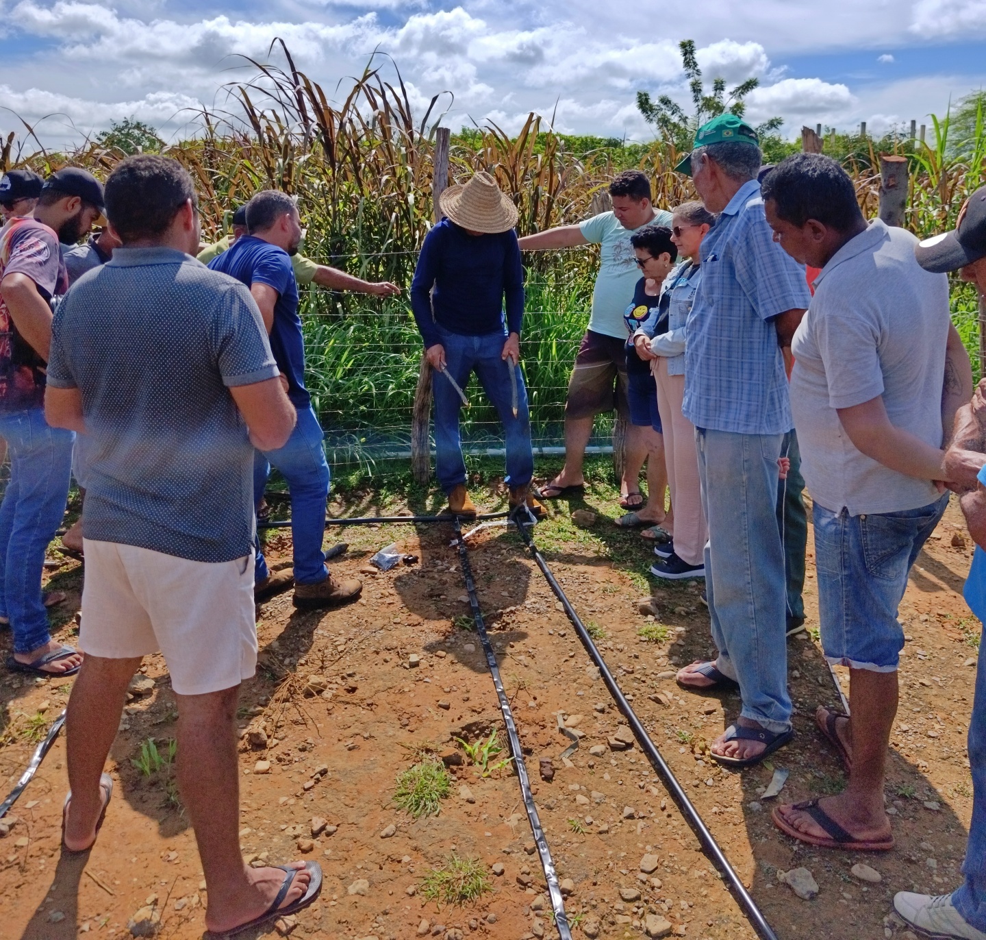 Foto: Reprodução/Secom Piauí