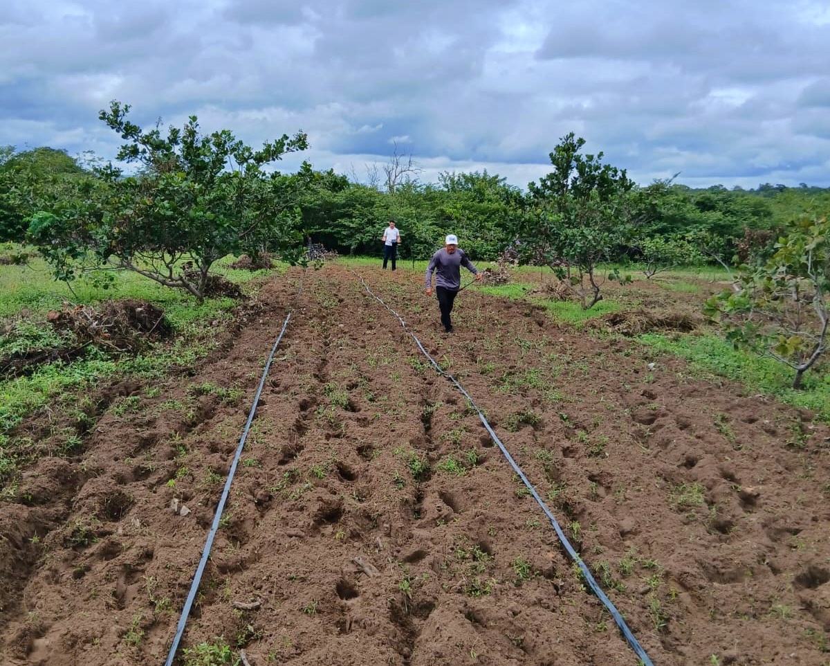 Foto: Reprodução/Secom Piauí