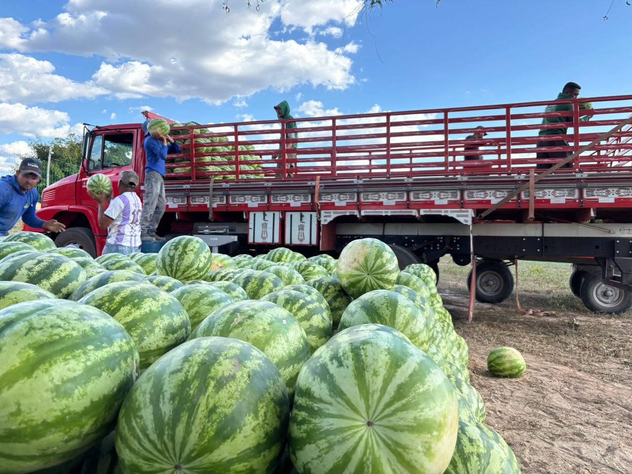 Foto: Reprodução/Secom Piauí
