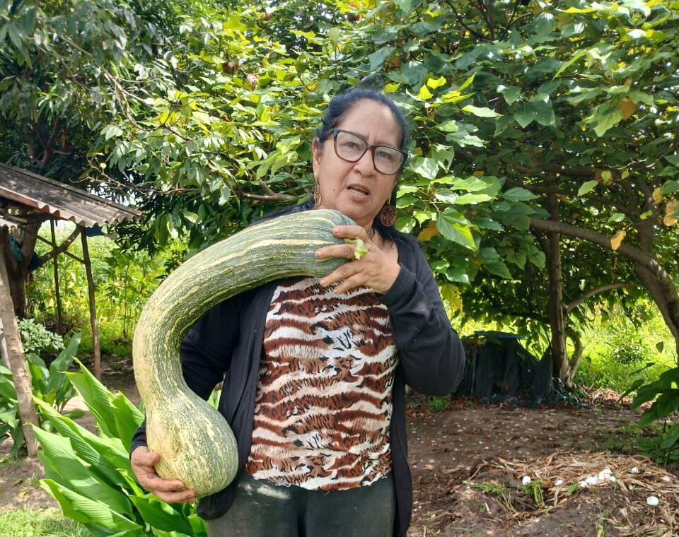 Foto: Reprodução/Secom Piauí