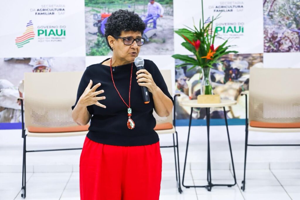 Foto: Reprodução/Secom Piauí