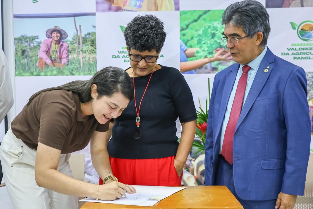 Foto: Reprodução/Secom Piauí