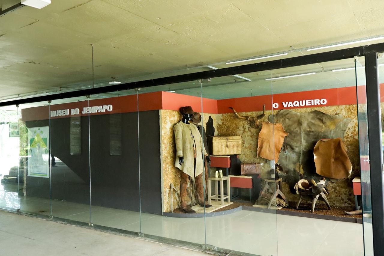 Foto: Reprodução/Secom Piauí