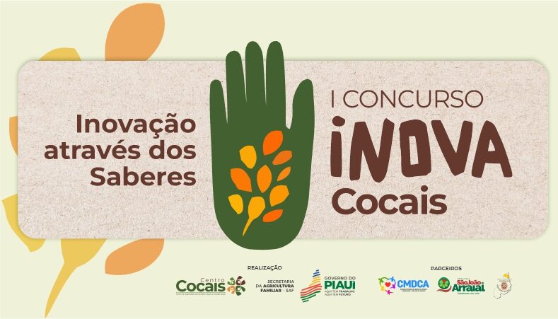 Foto: Reprodução/Secom Piauí