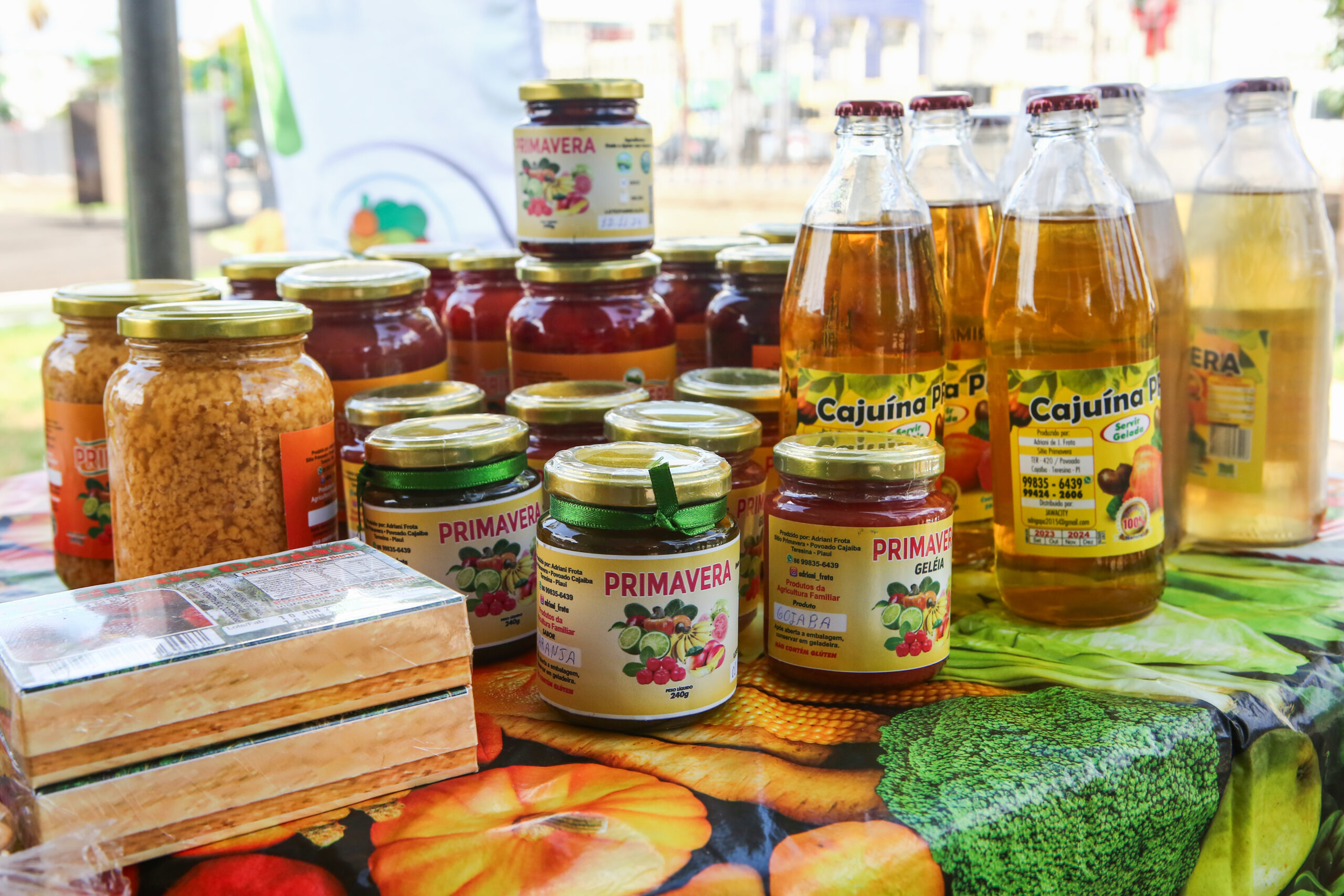 Governo destina mais de R$ 30 milhões para projetos da agricultura familiar no Piauí e lança edital nesta terça (3)