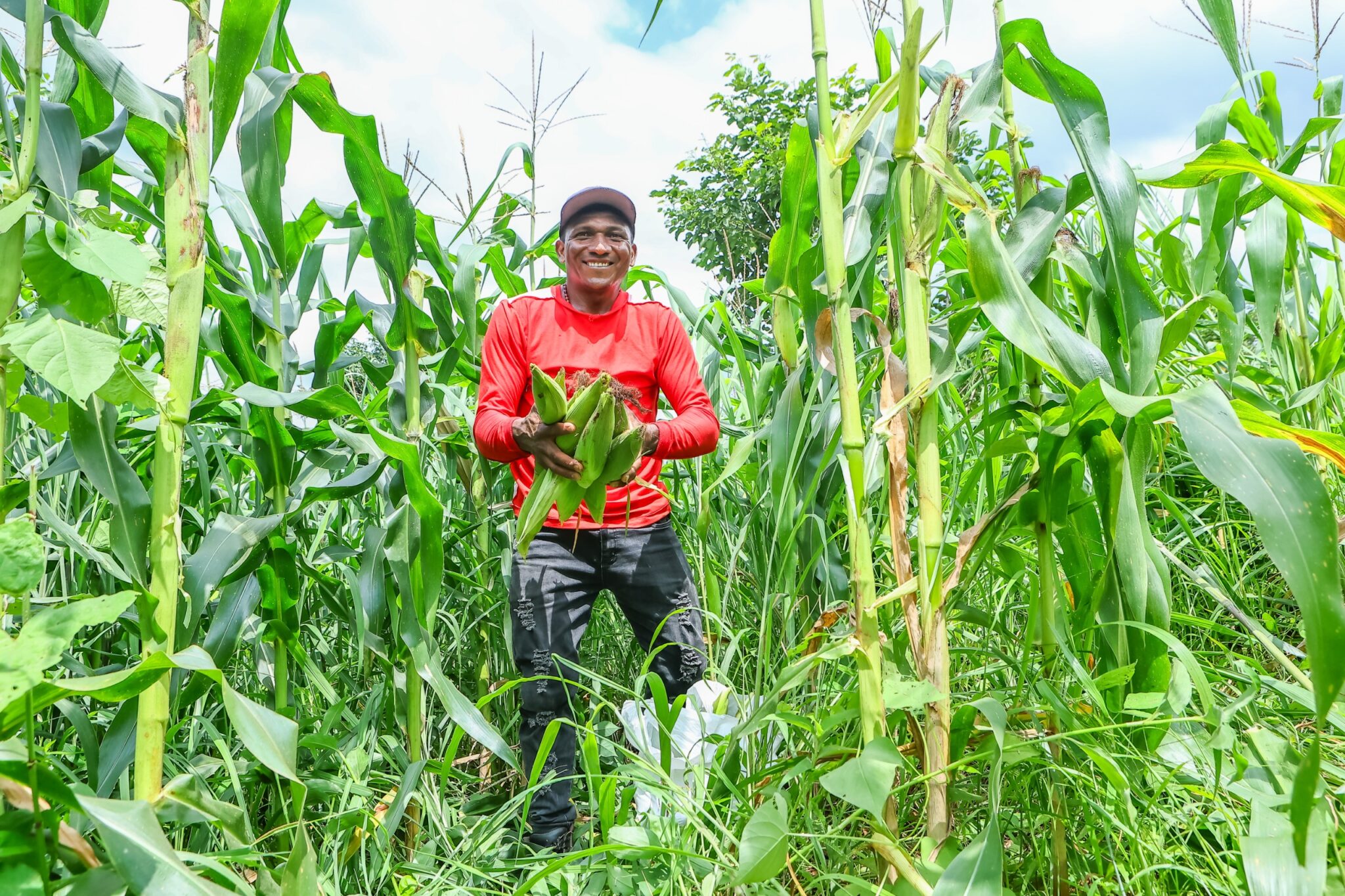 Foto: Reprodução/Secom Piauí