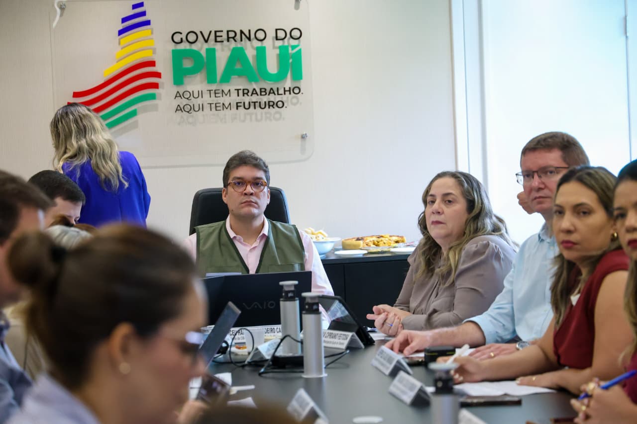 Sesapi reúne gestores municipais e reforça ações integradas no combate à dengue no Piauí
