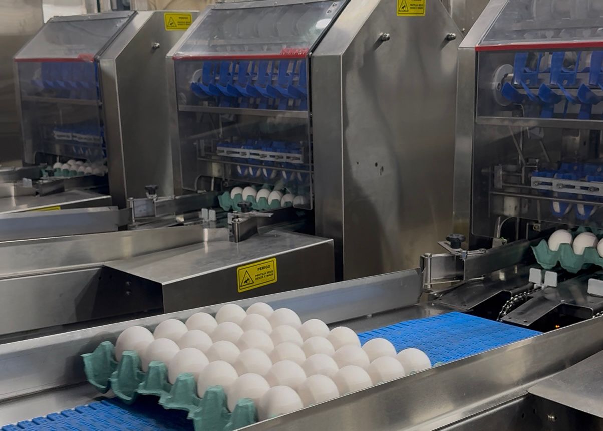 Foto: Reprodução/Secom Piauí