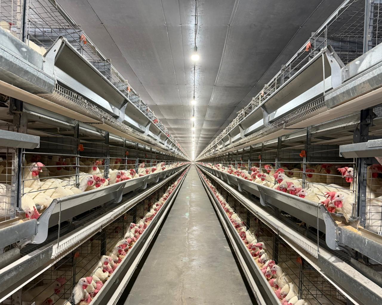 Foto: Reprodução/Secom Piauí