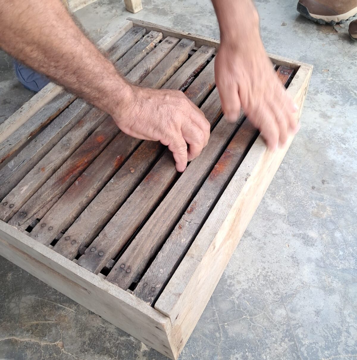 Foto: Reprodução/Secom Piauí