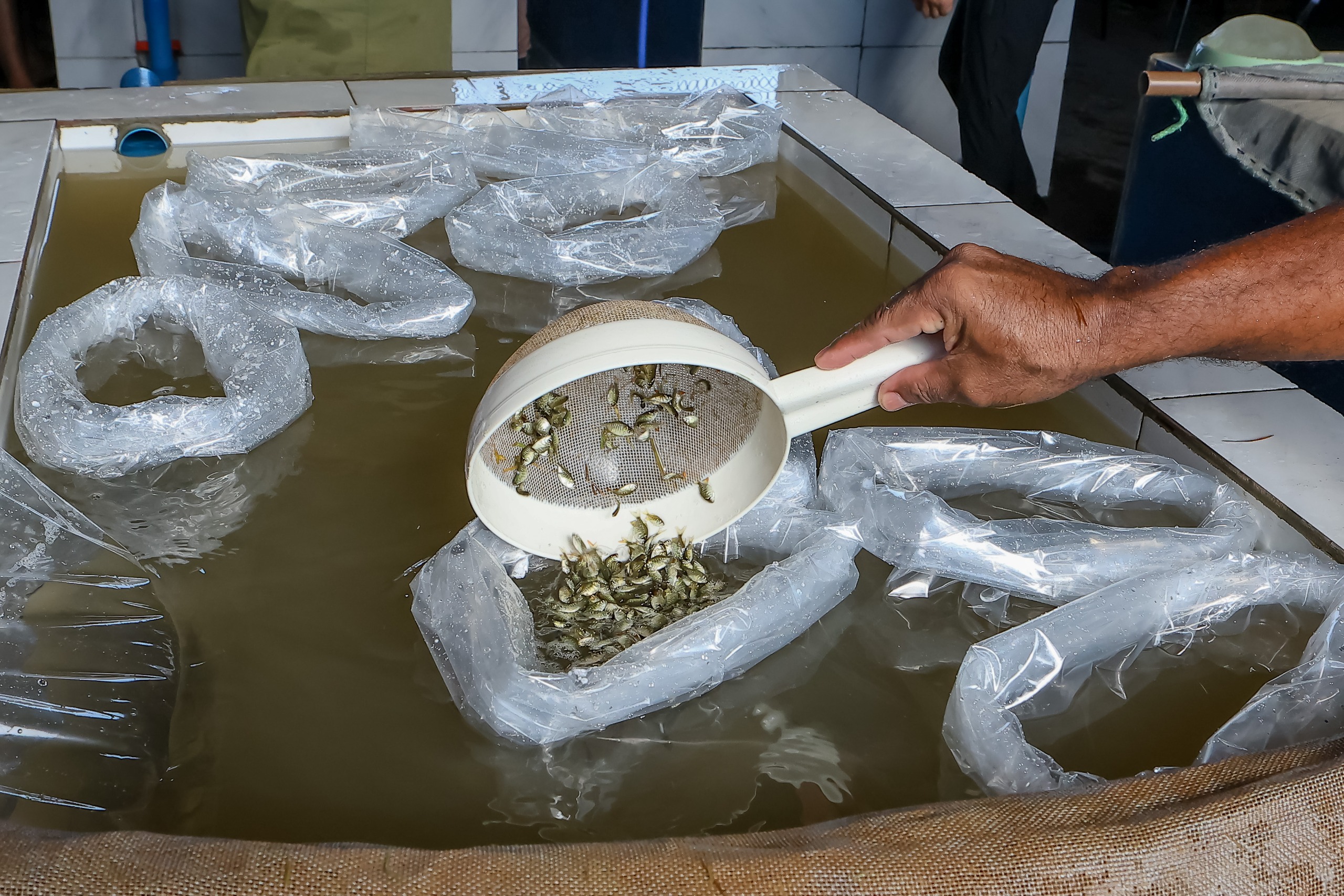 Foto: Reprodução/Secom Piauí