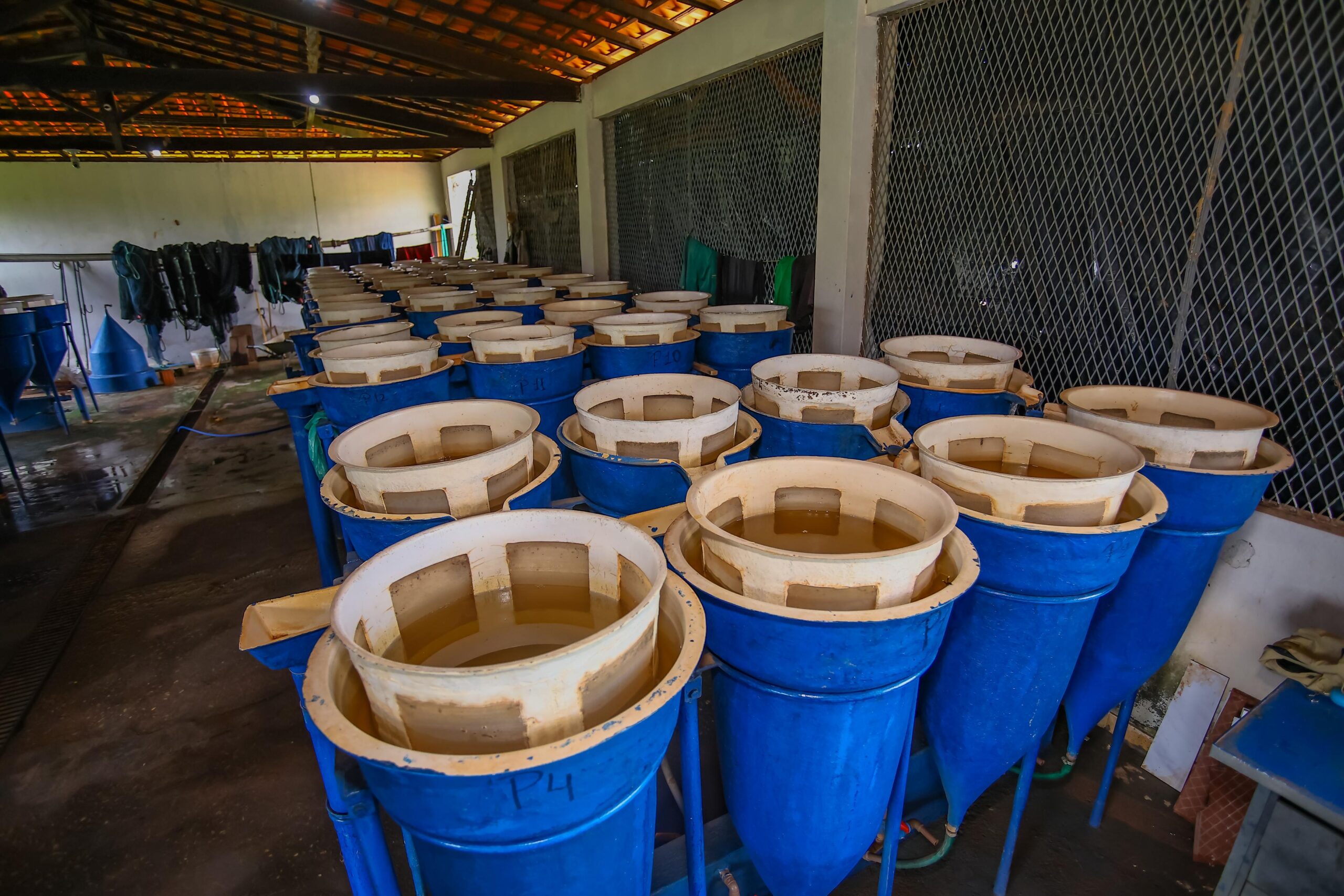 Foto: Reprodução/Secom Piauí