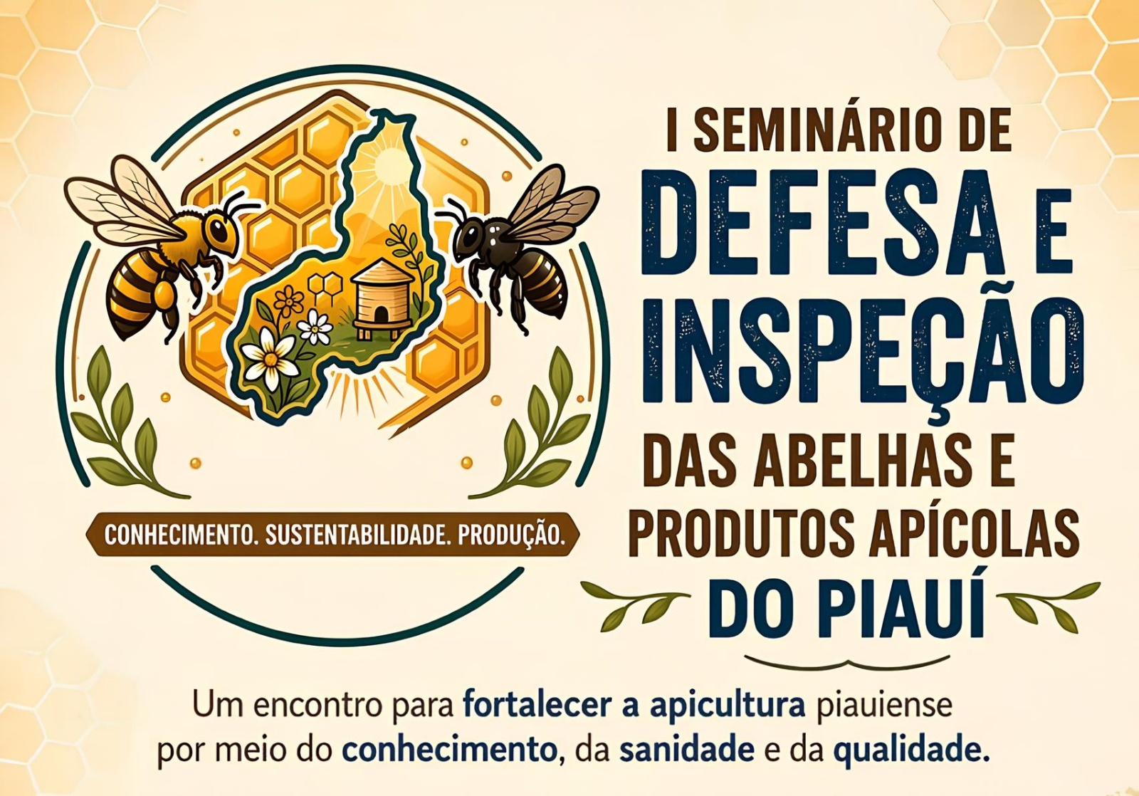 Foto: Reprodução/Secom Piauí