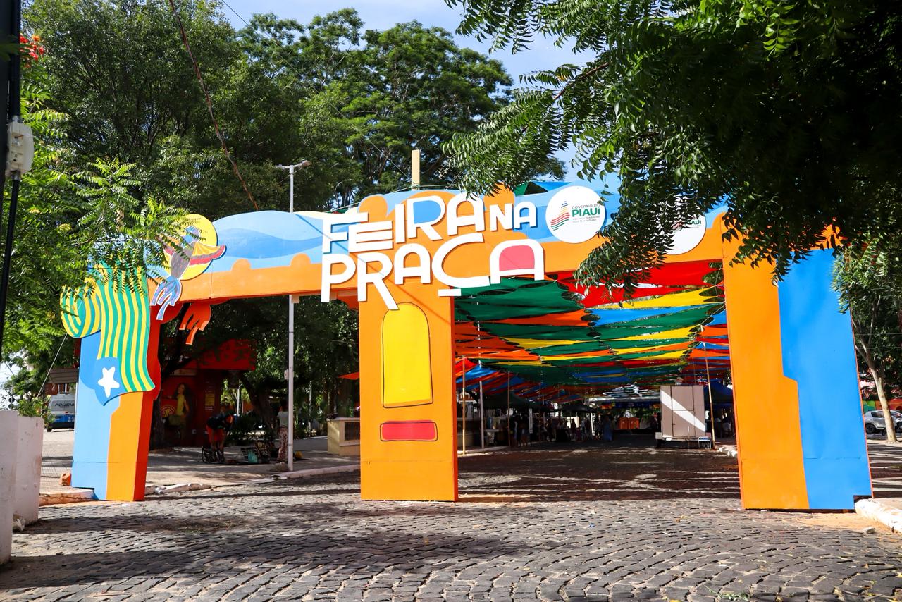 Foto: Reprodução/Secom Piauí