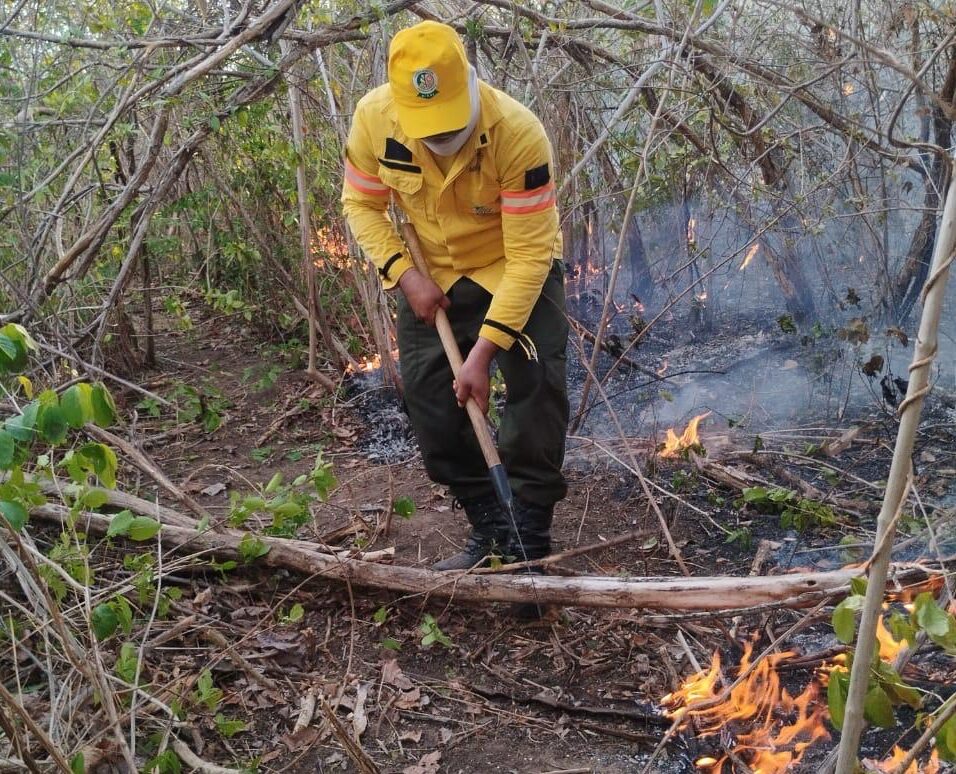 Foto: Reprodução/Secom Piauí